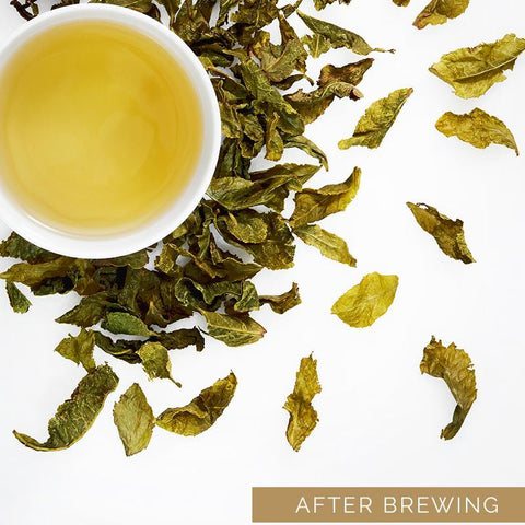Limited Edition Misty Oolong Tea Gift Box