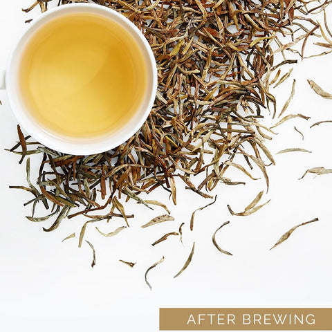 Darjeeling Whole Leaf White Tea Gift Box
